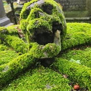 Grave of Antoine Michel Wemaer