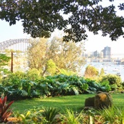 Wendy's Secret Garden