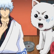 265. Dog Food Doesn't Have as Much Flavor as You'd Think