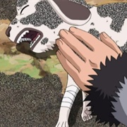 S1.E184: Kiba's Long Day