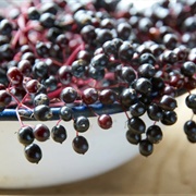 Elderberries