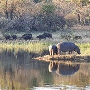 Mabilingwe Game Park