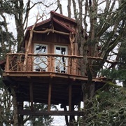 Tree Climbing Planet