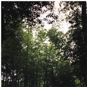 Sonna – Smile and the World Smiles With You