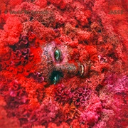 JASSS - A World of Service