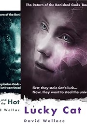 The Return of the Banished Gods Series (David Wallace)