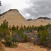Checkerboard Mesa