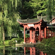 Hortus Botanicus Haren-Groningen