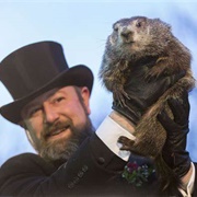 Punxsutawney Phil