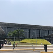 General Juan N Alvarez International Airport(ACA)