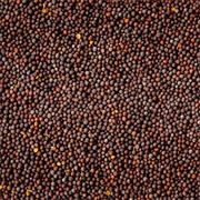 Brown Mustard Seeds