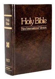 Holy Bible (With Discover the Bible Section) (NIV)
