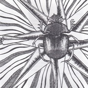 Cosmic Church - Syysauringon Vihkimys