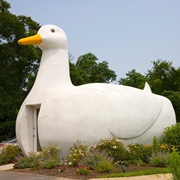 Big Duck, Flanders, New York, USA