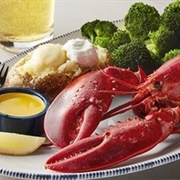 Maine Lobster