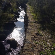 Devil's Terror Cutting