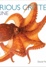 Curious Critters: Marine (David  Fitzsimmons)