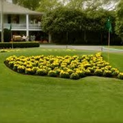 Augusta National Golf Club, Georgia
