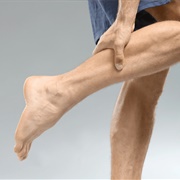 Leg