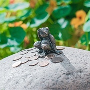 The Frog Traveler, Russia