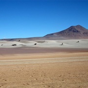 Salvador Dalí Desert