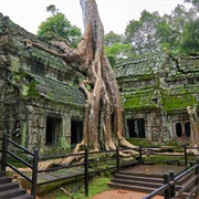 Ta Prohm, Cambodia