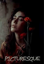Picturesque (2011)