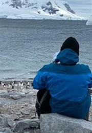 Deadly Trip of a Lifetime (2020)