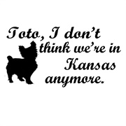 "Toto, I Don't Think We're in Kansas Anymore."