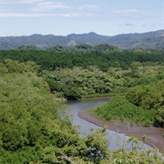 Rio Nosara, Costa Rica