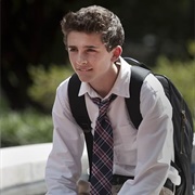 Homeland: "About a Boy" (S4,E5)