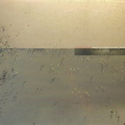 Cindytalk - Hold Everything Dear