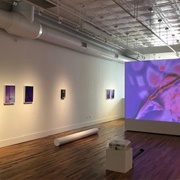 Black Mountain College Museum + Arts Center