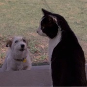 Spike (Honey, I Shrunk the Kids, 1989)