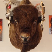 Bison Coffeehouse