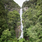 Montezuma Falls, Tasmania, Australia
