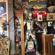 The Secret Chamber House of Oddities and Artwork