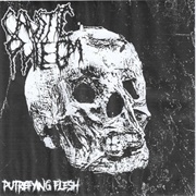 Caustic Phlegm - Putrefying Flesh