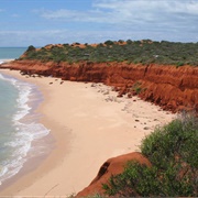 Shark Bay, Australia