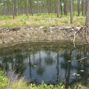 Bob's Sinkhole