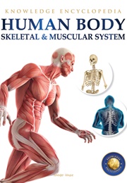 Human Body: Skeletal and Muscular System (Wonder House Books)