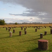 Woodhenge