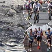 Try Out an Iron Man Competition