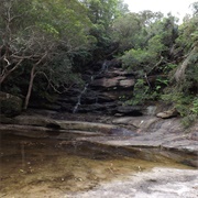 Brisbane Water National Park