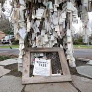 Wishing Tree