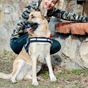 Protects and Checks on You