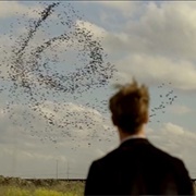 True Detective - "The Long Bright Dark"