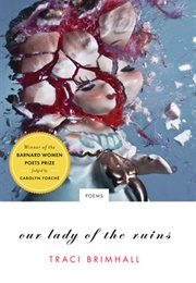 Our Lady of the Ruins (Traci Brimhall)