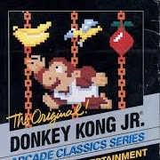 Donkey Kong Jr.