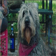 High Maintenance: "Grandpa" (S1,E3)